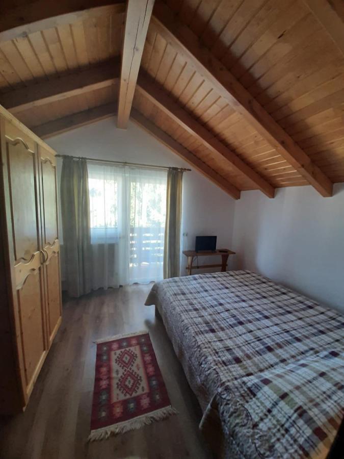 Casuta Pietrosul Rodnei Διαμέρισμα Borşa Εξωτερικό φωτογραφία
