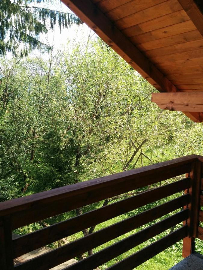Casuta Pietrosul Rodnei Διαμέρισμα Borşa Εξωτερικό φωτογραφία