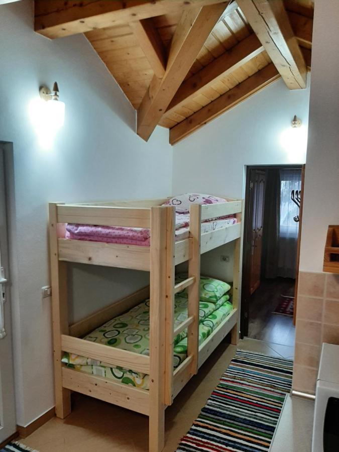 Casuta Pietrosul Rodnei Διαμέρισμα Borşa Εξωτερικό φωτογραφία